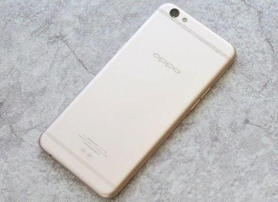 再见,我的灵魂伴侣