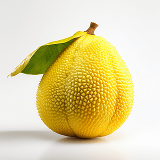 养鬼吃人10：审判