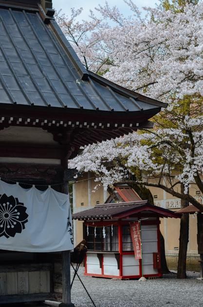 养家之人（国语版）