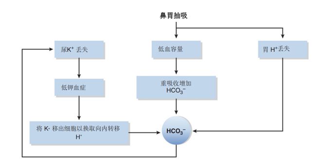 养老院（法语版）