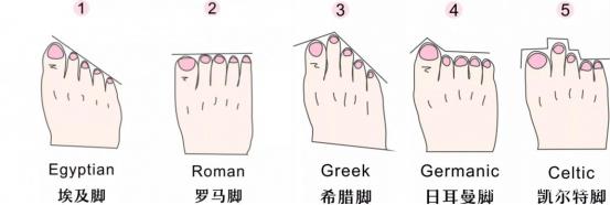 内特的梦想剧院