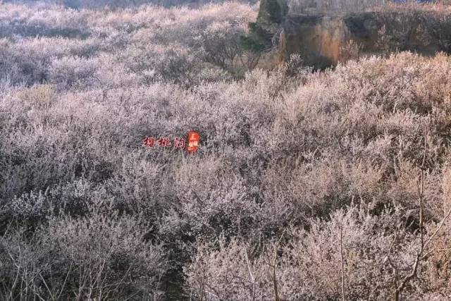 写给往昔的未来