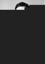 再见,克里斯托弗·罗宾