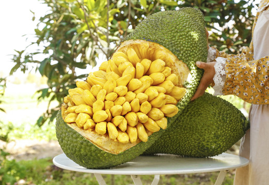 冰封：重生之门(粤语版)