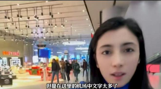 兔子镇的火狐狸