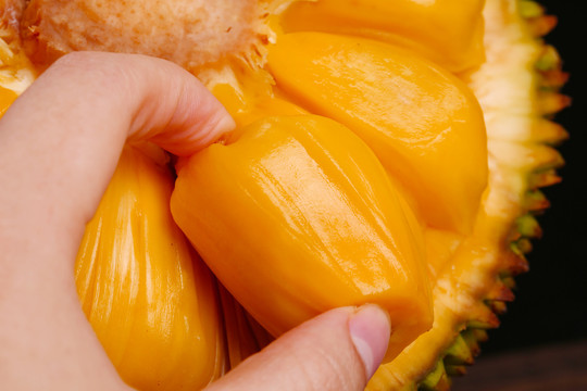 兔子镇的火狐狸