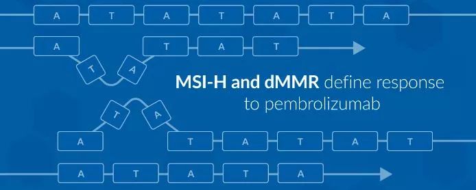 再次出发之纽约遇见你